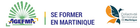 Se Former en Martinique Logo