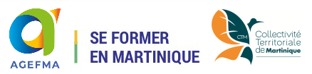 Se Former en Martinique Logo